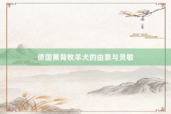德国黑背牧羊犬的由衷与灵敏